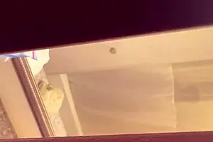 Str8 Boy Jerks Solo Again with Wild Cock Action!