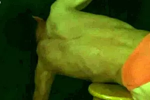 पार्ट 2 - सोलो ट्विंक स्ट्रेचिंग सेशन का स्नीक पीक