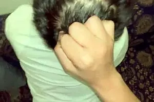 मेरा बाइसेक्सुअल दोस्त मुझे पुटा की तरह ट्रीट करते हुए रिकॉर्ड कर रहा लिग ऑफ लेजेंड्स देखते हुए