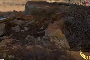 स्टैक्सस हॉट बाइसाइक्लिस्ट इमरजेंसी स्टॉप पर ब्लो जॉब के लिए रेसिस्ट नहीं कर सकते!