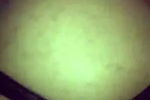 टैक्सी राइड में ट्विंक्स बेयरबैक करते हैं उग्र ऊर्जा के साथ