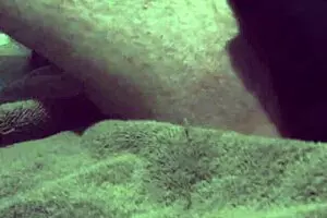 स्ट्रेट ओसोफ्रोज़97 अपनी जीएफ के लिए गे4पे गे वर्जिन गांड उँगलियाँ करता है